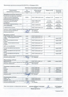 Протокол безопасности от 28.02.2025 2