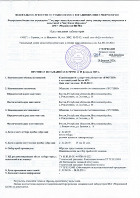 Протокол безопасности от 28.02.2025 1